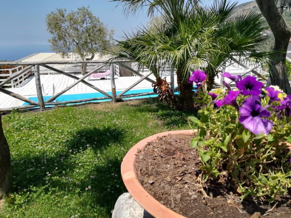 Апартаменты Il Casale Del Golfo Вико-Экуенсе Экстерьер фото